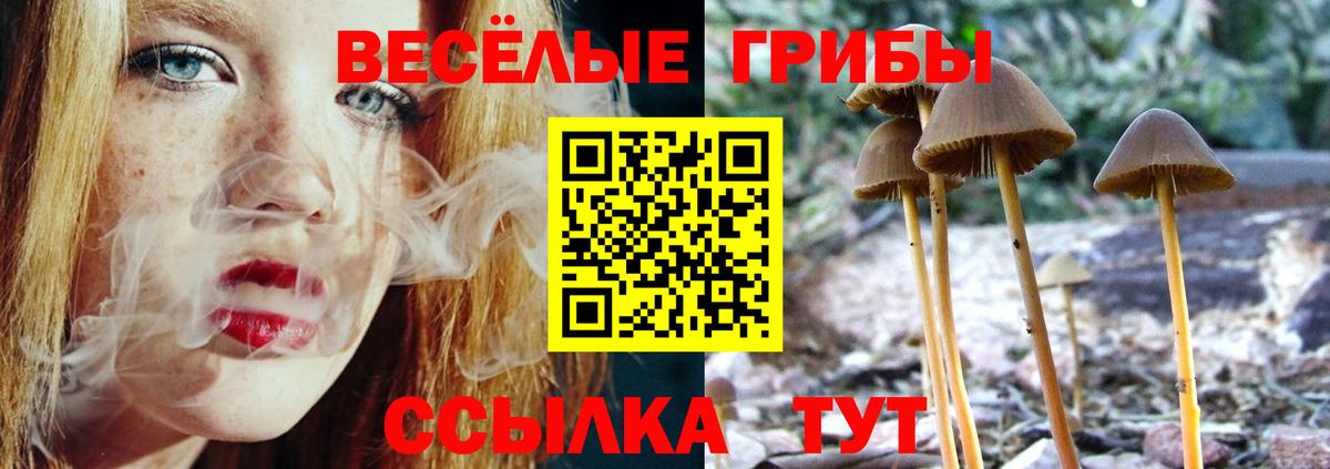 Галлюциногенные грибы GOLDEN TEACHER Туймазы